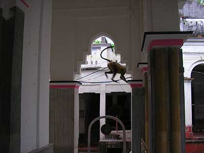 picture-06