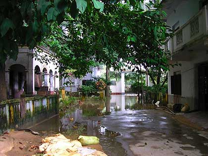 picture-10