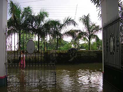 picture-13