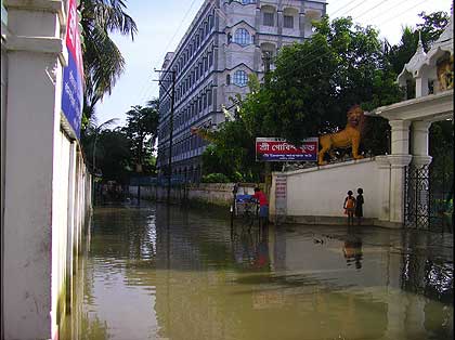 picture-07