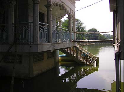 picture-01