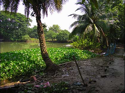picture-03