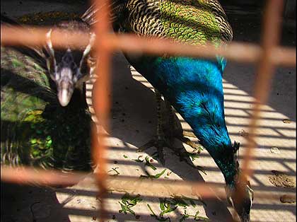 picture-07