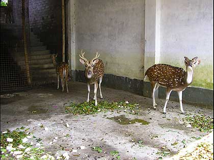 picture-08