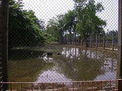 picture-09