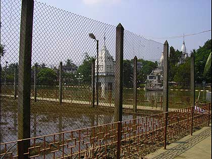 picture-10