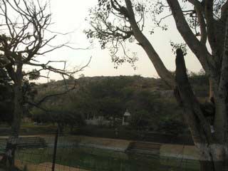 picture-24