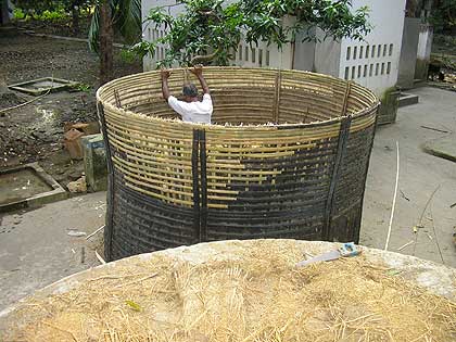 picture-07