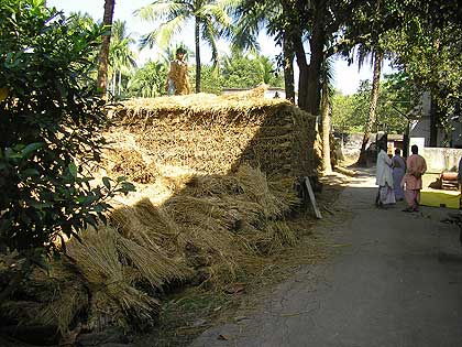 picture-10