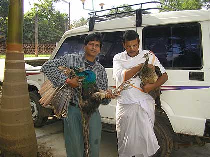 picture-11