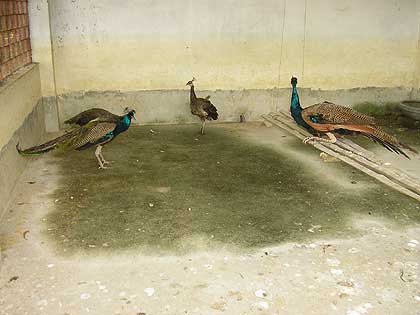 picture-14
