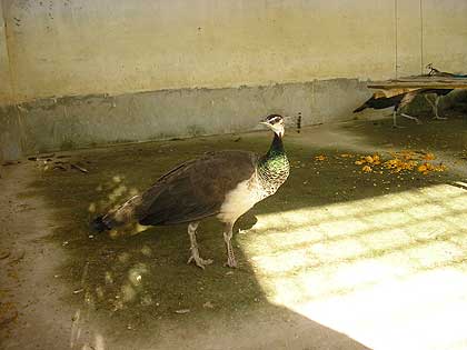 picture-15