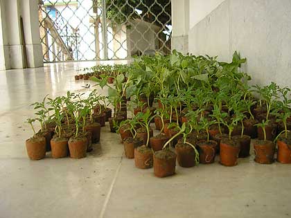picture-21