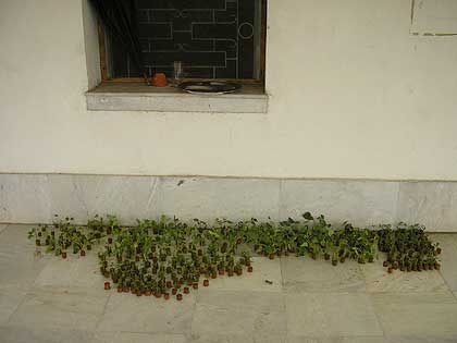 picture-22