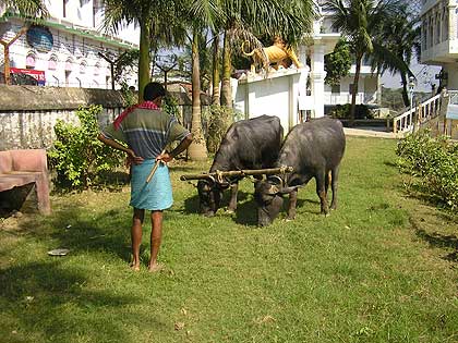 picture-27