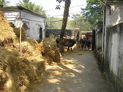 picture-08