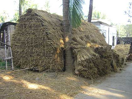 picture-14