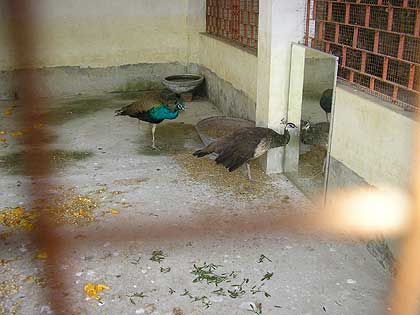 picture-19