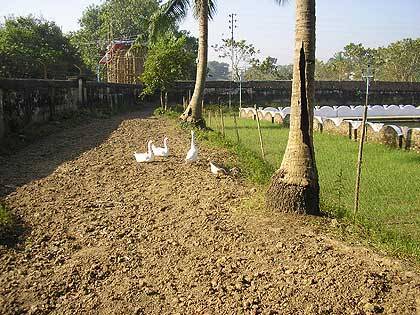 picture-21