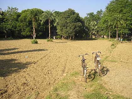 picture-05