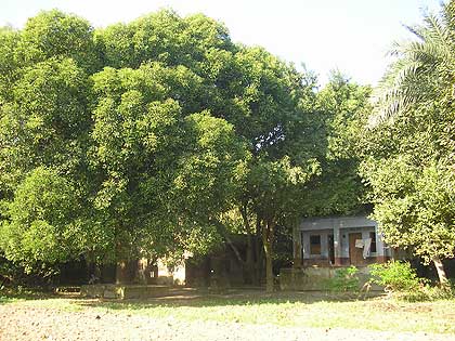 picture-09