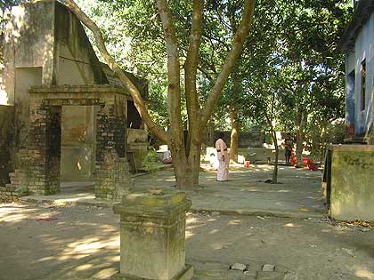picture-10
