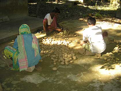 picture-12