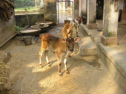 picture-04