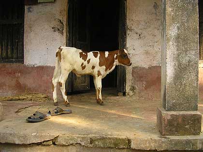 picture-07