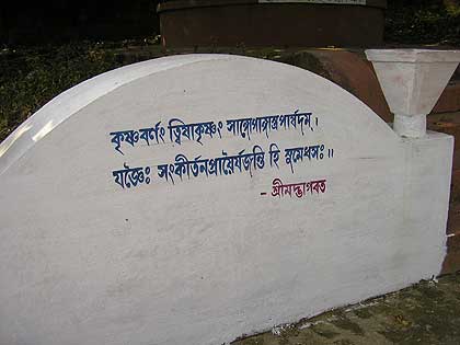 picture-17