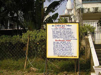 picture-21