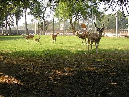picture-01