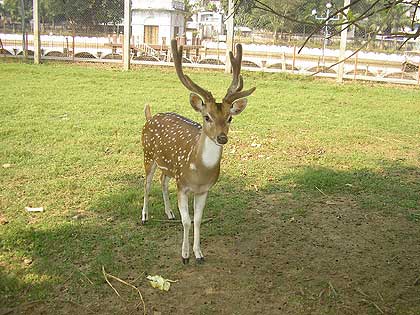 picture-06