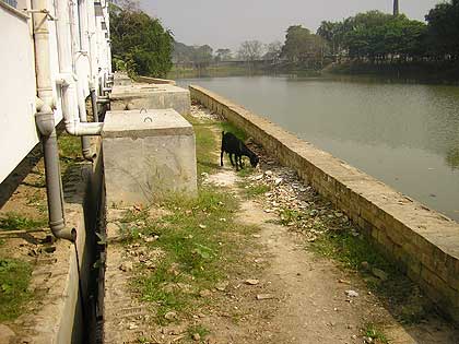 picture-15