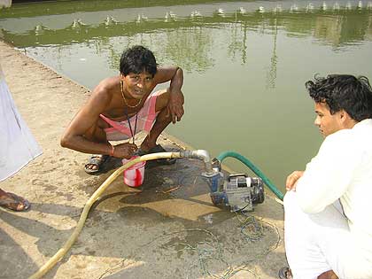 picture-17