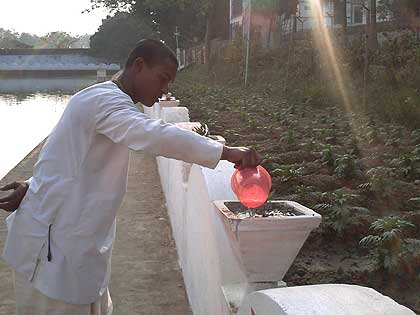 picture-01