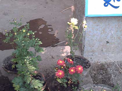 picture-03