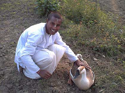 picture-10
