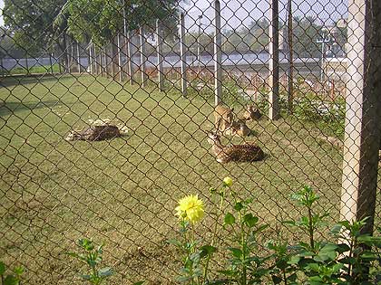 picture-07