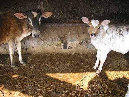 picture-14