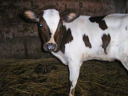 picture-16