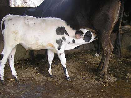 picture-17