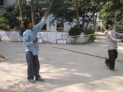 picture-02