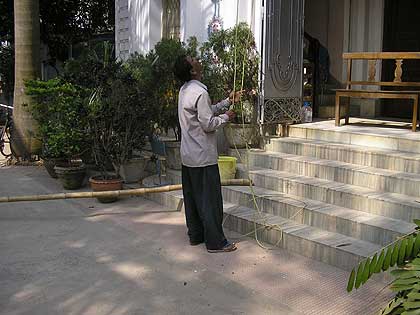 picture-03