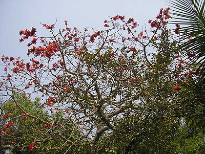 picture-05