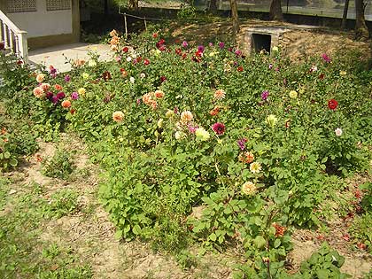 picture-07