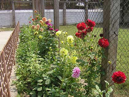 picture-08