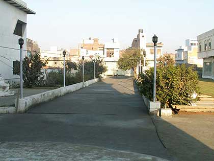 picture-15