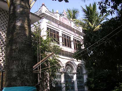 picture-02