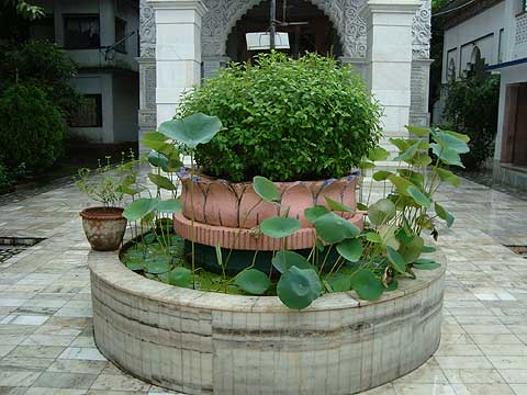 picture-04